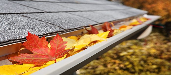 Gutter Cleaning London, Clean Gutters London